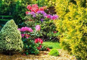 Jesień i wiosna – najlepsze pory roku na prace w ogródku